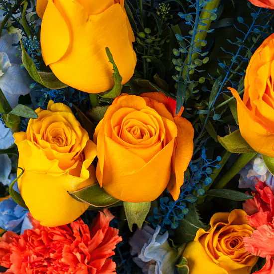 Radiant Success | Blue Wrap