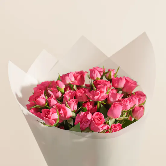 Soucolat Chocolate Collection Wood Tray | Splendid Flowers