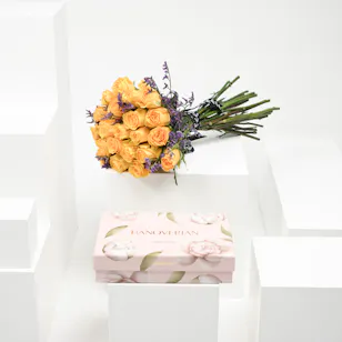Hanoverian Chocolate | Yellow Roses Hanoverian Chocolate | Yellow Roses