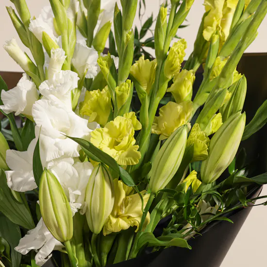 Elegance Blooms | Flowers Bouquet