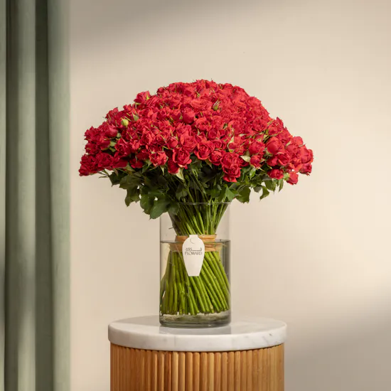 100 Red Baby Roses Vase