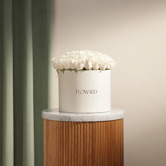 Ray of Hope White Roses Box | 55 Flowers