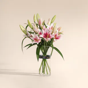 Lilies Love Unfolds in Vase