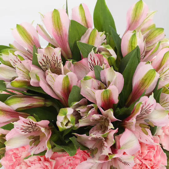 The Pink Floral Fiesta