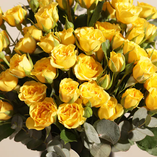 Hanoverian Mix Chocolate Box | Best Dad Sparkling Flower Vase