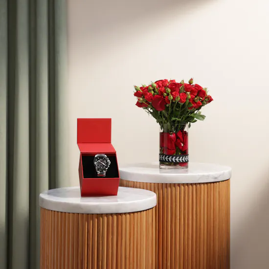 Boss Men's Stainless Steel Watch | Red Roses