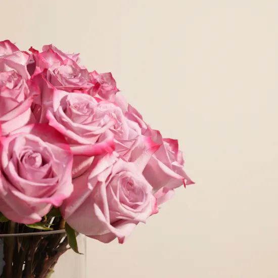Purple Roses Vase | 50 Flowers