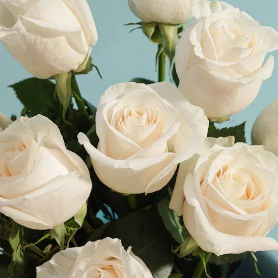 A Cloud of Roses Bouquet