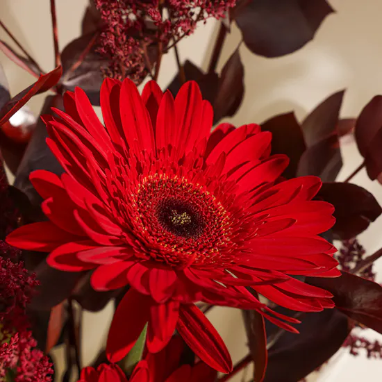 Scarlet Red Bouquet