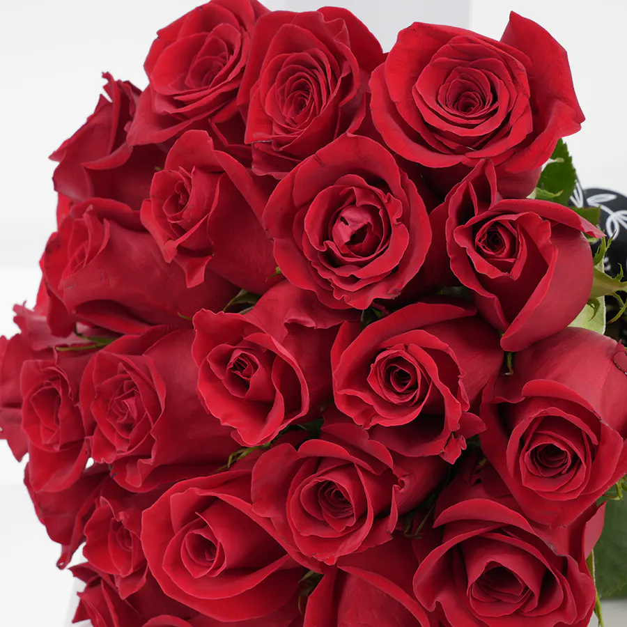 25 Red Roses | Ibrahim Alqurashi Balase Rose EDP 2
