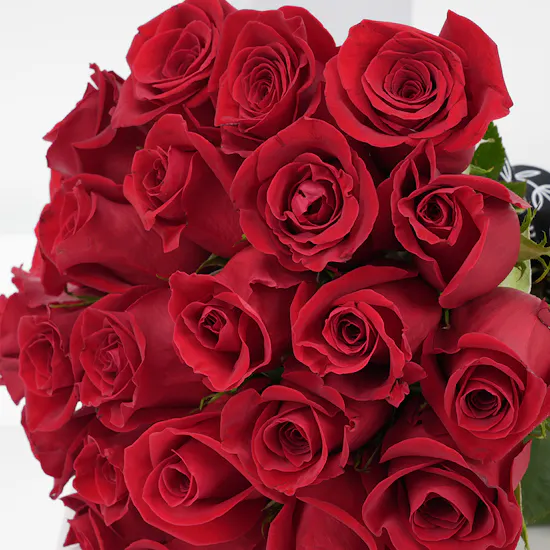 25 Red Roses | Ibrahim Alqurashi Balase Rose EDP