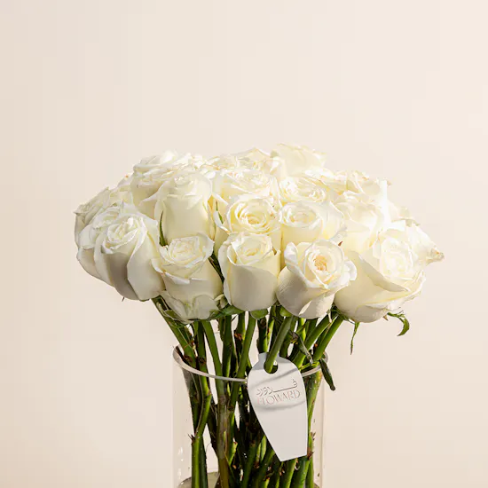 White Roses | Long Vase