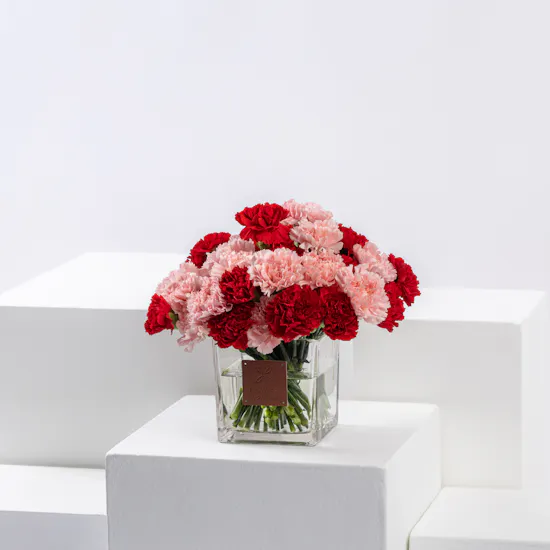 Blushing Ruby | Carnations Vase