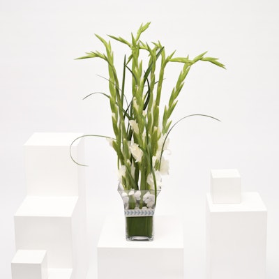 Gladiolus Vase by Mohammed Kanno