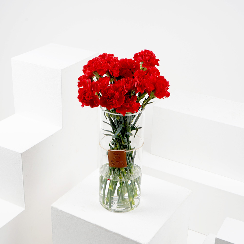  25 كارنيشن أحمر | فازة اسطوانية