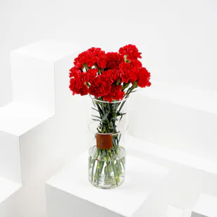 25 Red Carnations | Vase