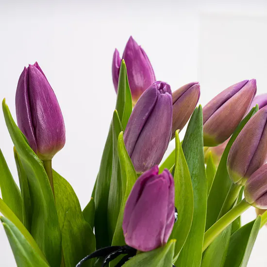 Mom's Silver Vase | Purple Tulips