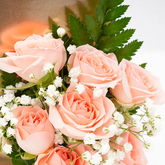 Baby Roses | Ibrahim Alqurashi Fragrance