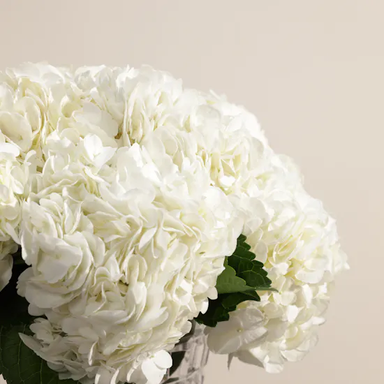Rogaska Glam Atrium Crystal White Hydrangea Vase