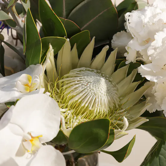 Elegant Harmony Flowers Vase by September Studio