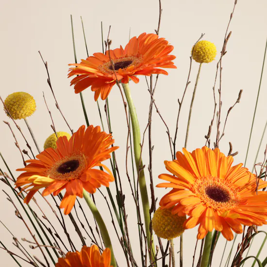 Stunning Nature Keramos Vase