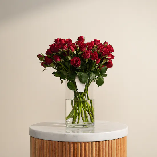Scarlet Charm Baby Rose Vase