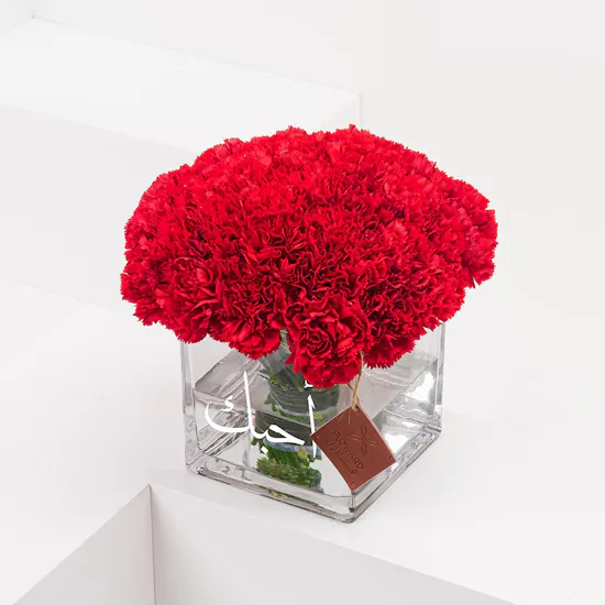 Ahebk Carnations | Square Vase
