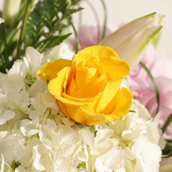 مزهرية زهور الأناقة المتفتحة