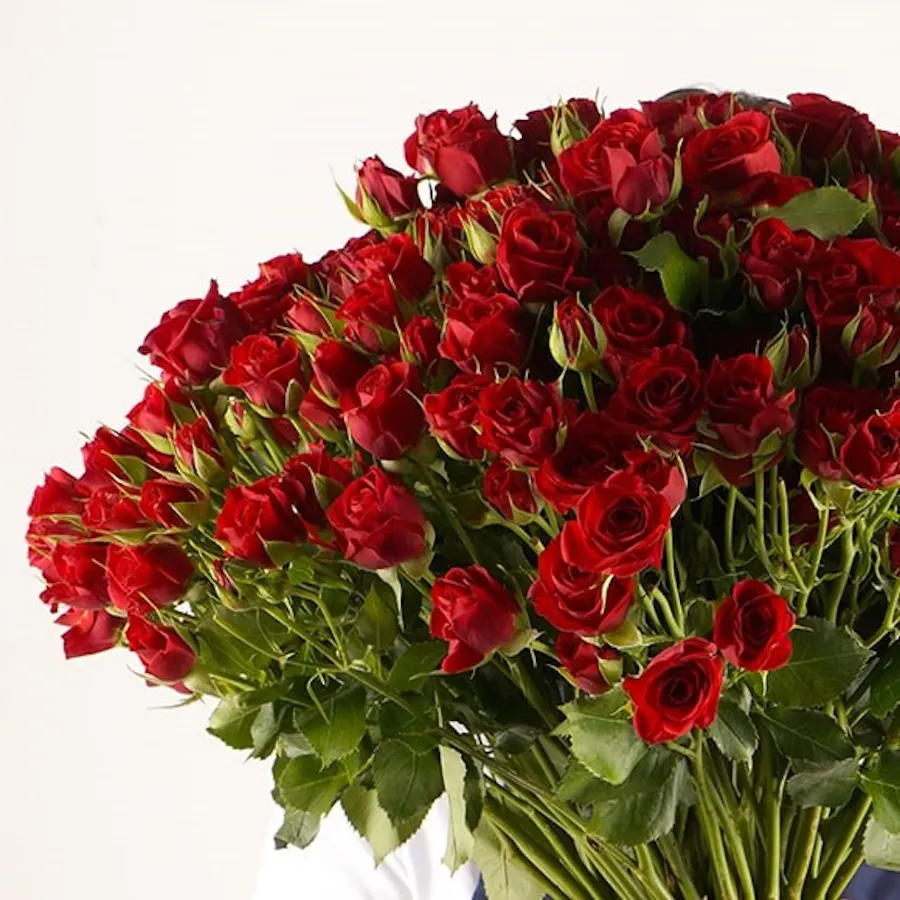 70 Red Baby Roses Hand Bouquet IV 2