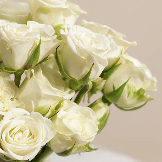 White Whisper Baby Roses Vase