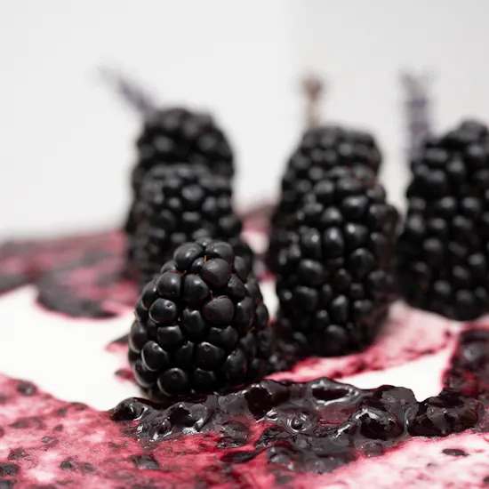 Sucre de Nada Blackberry and Lavender Cake | Delicate Blooms