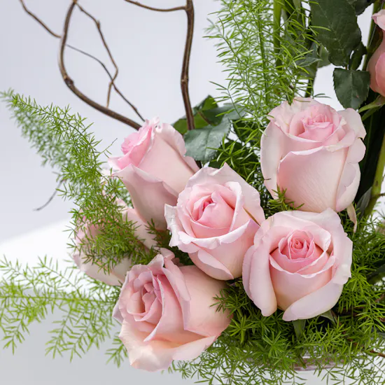 Pink Essence