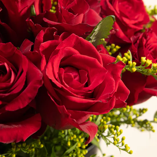 Scarlet Mirage Rose Vase