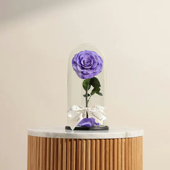 Single Preserved Purple Rose in a Glass Dome