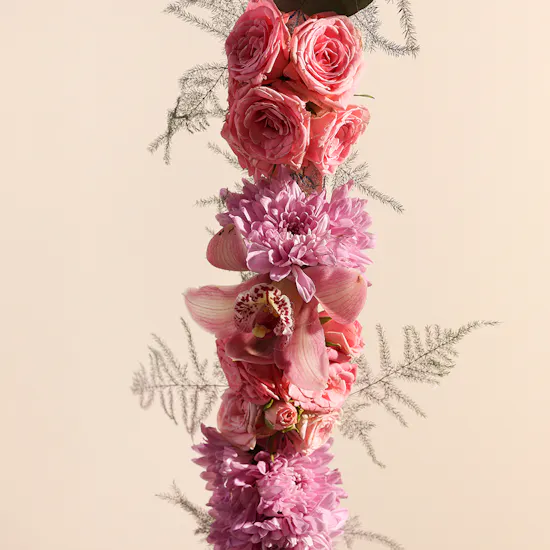 Pink Necklace Congratulations 2024