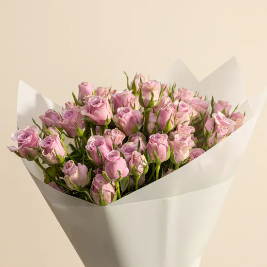 Dewy Elegance Purple Baby Roses Bouquet | 12 Flowers
