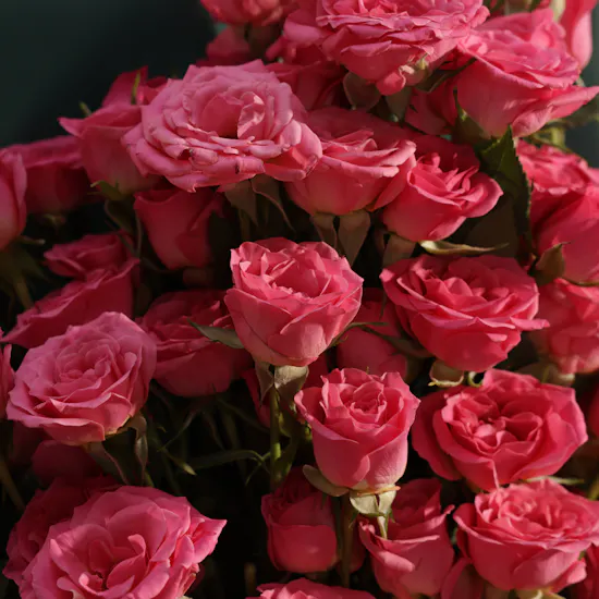 Striking Grace Flower Bouquet | 25 Flowers