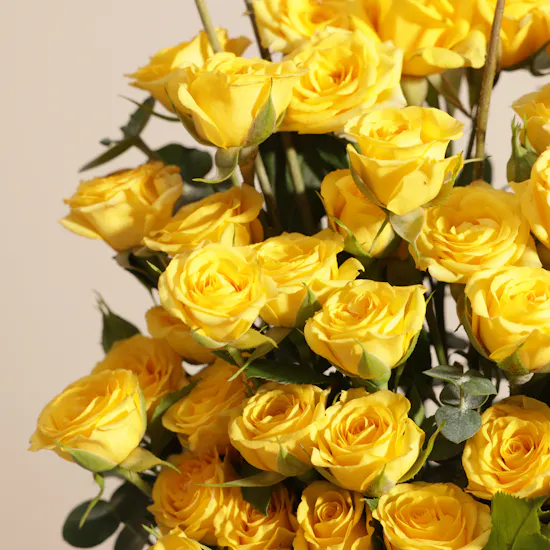 Bateel Palm Chocolate Truffles Box | Bright Essence Flower Vase