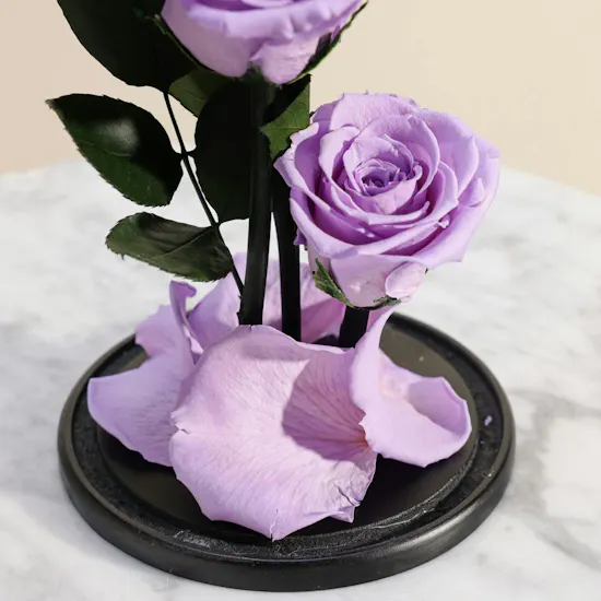 Light Purple Preserved Roses Dome