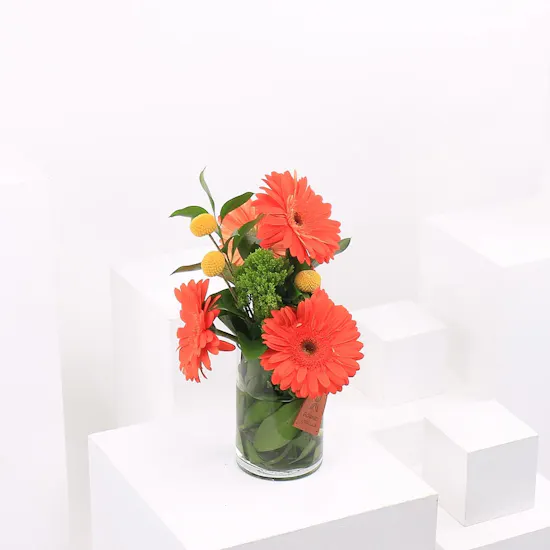 Orange Gerbera | 10 Flowers