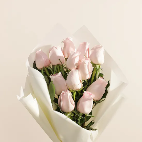 Charriol Cable Signature C de Charriol Women's Necklace | Shinny Flowers