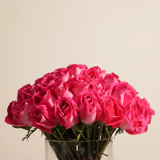 Fuchsia Brilliance Vase | 50 Flowers