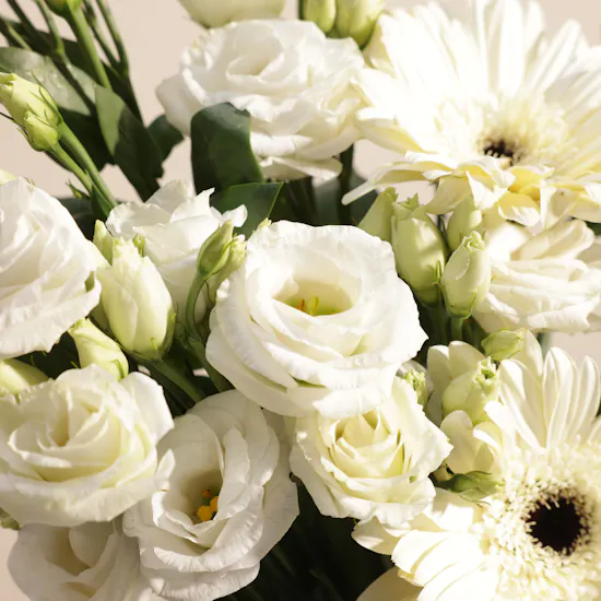 Levo Small Chocolate Box | Father's Day Jolly Flower Vase