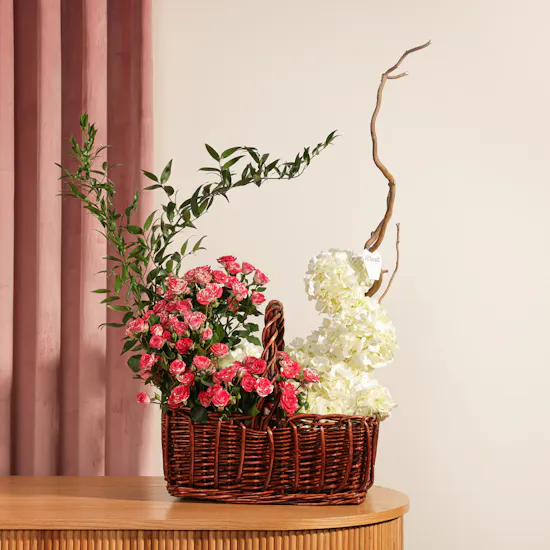 Moon Light Glow Basket