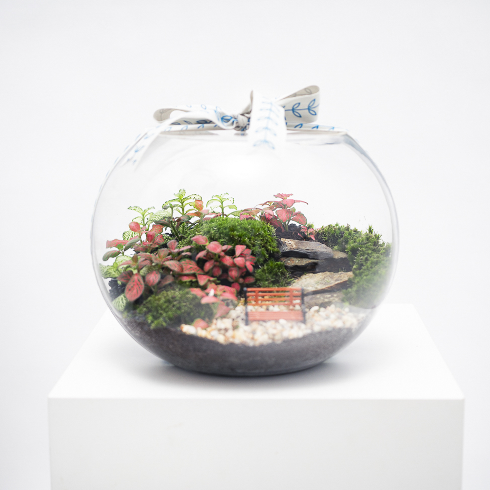 الحديقة الصغيرة الخلابة | تيراريوم مغلق