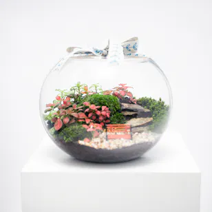 Enchanting Little Garden | Closed Terrarium 