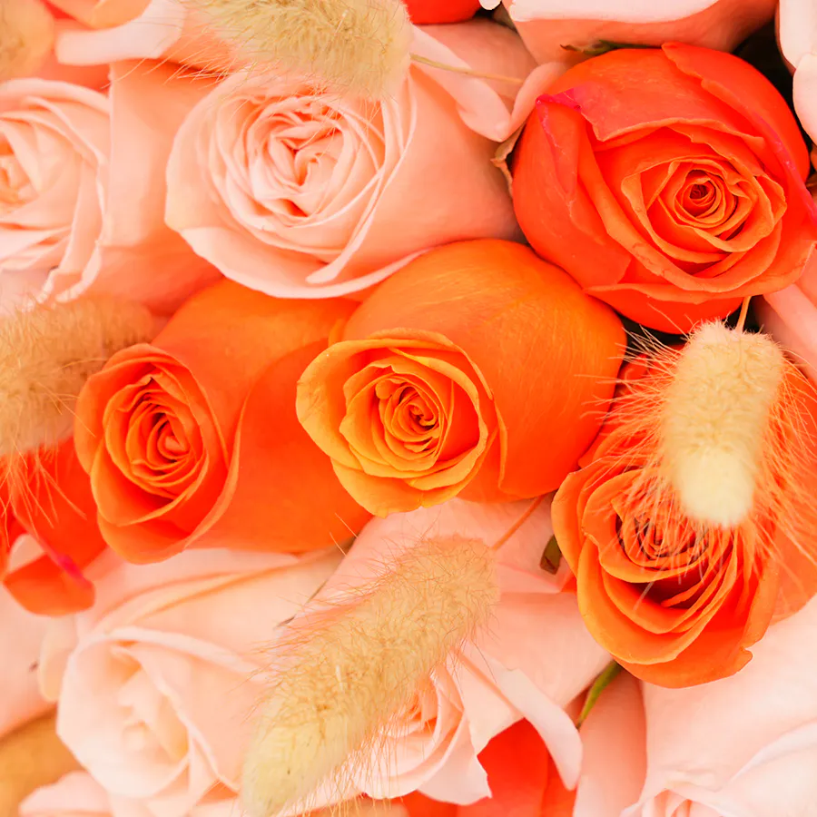 Patchi Chocolate | Roses  4