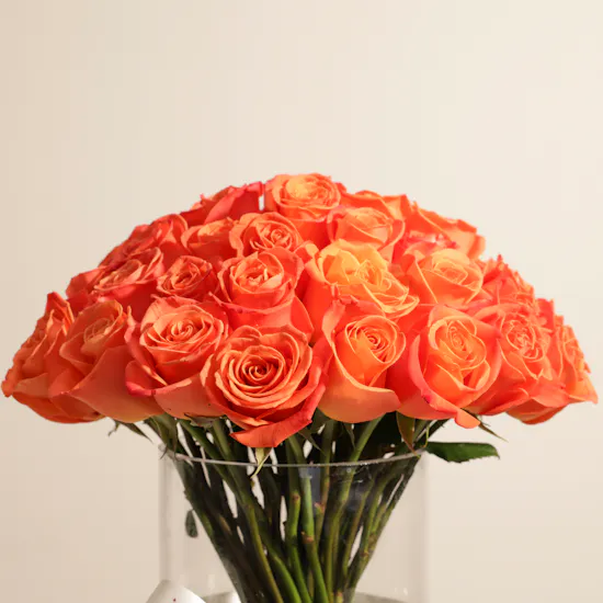 Orange Roses Vase | 50 Flowers