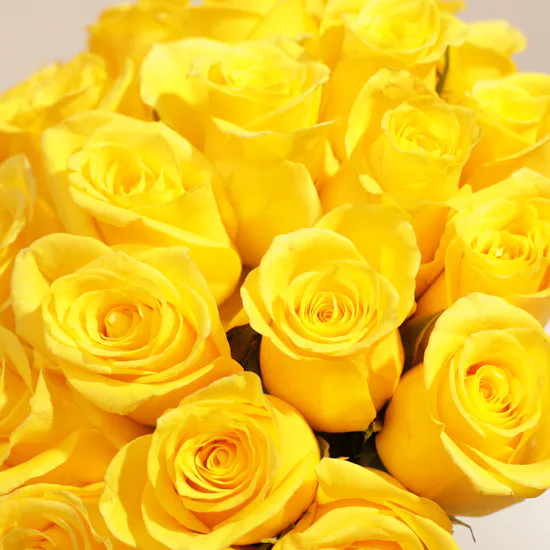 Whispering Yellow Rose Box | 25 Flowers