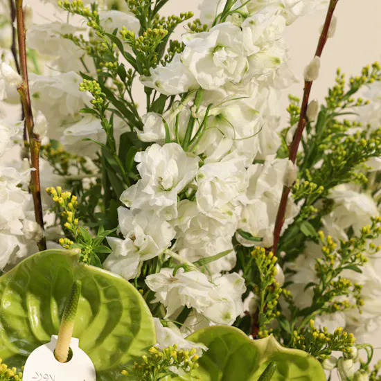 Soft Awakening Flowers Vase